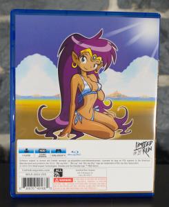 Shantae- Risky's Revenge - Director's Cut (02)